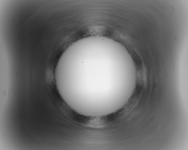 X0000099990705200805301413