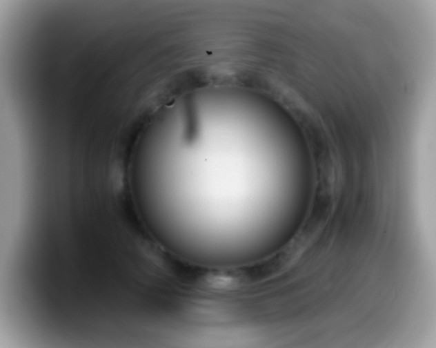 X0000099990706200805301413