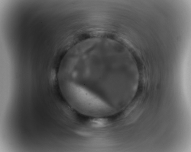 X0000099990711200805301413