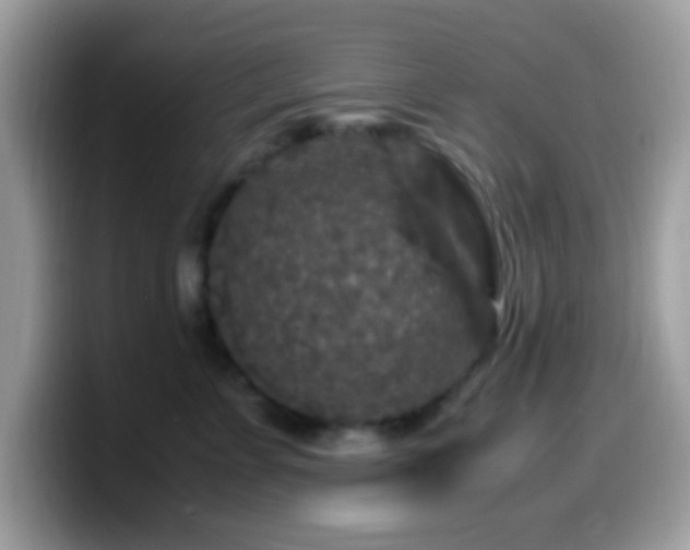 X0000099990715200805301413