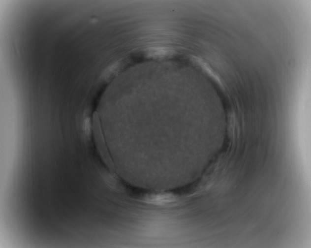 X0000099990716200805301413