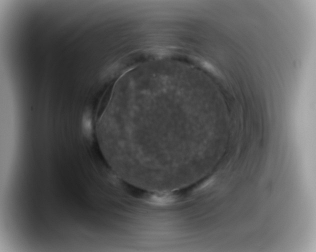 X0000099990720200805301413