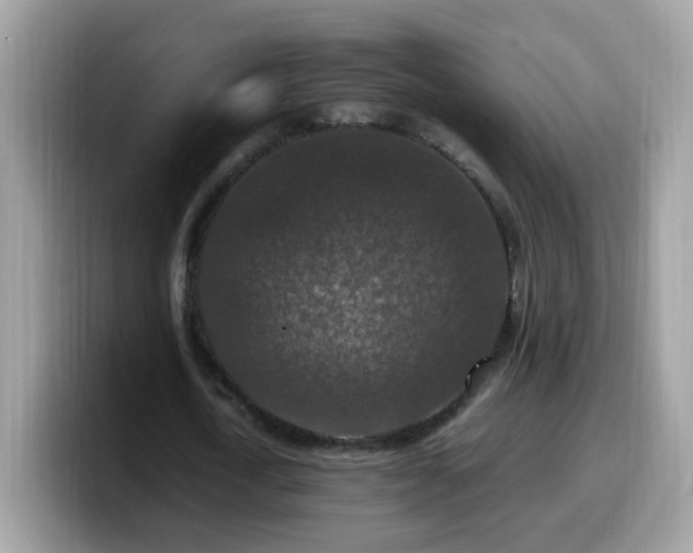X0000099990722200805301412