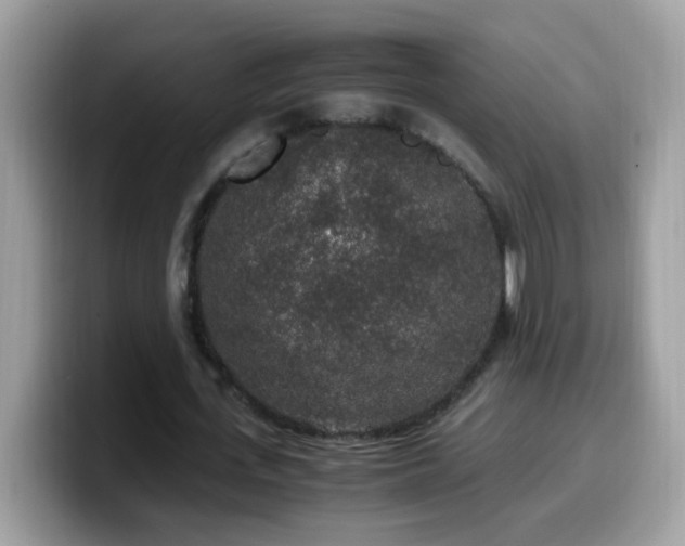X0000099990723200805301412