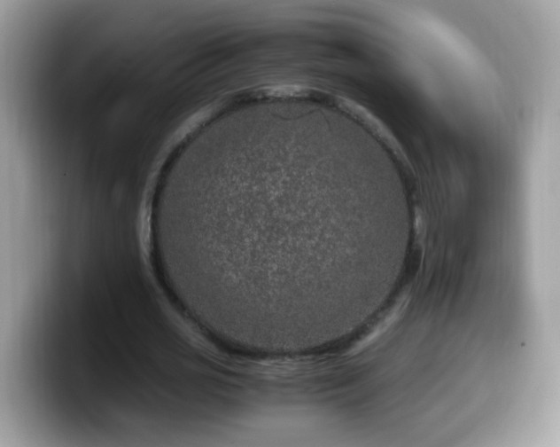 X0000099990725200805301412