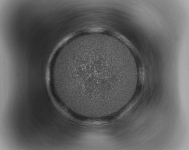 X0000099990726200805301412