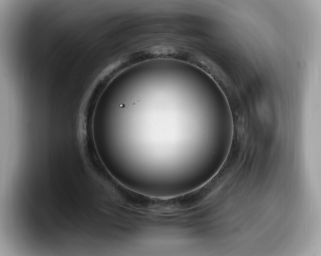 X0000099990727200805301412