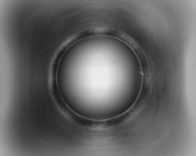 X0000099990728200805301412