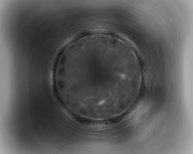 X0000099990729200805301412