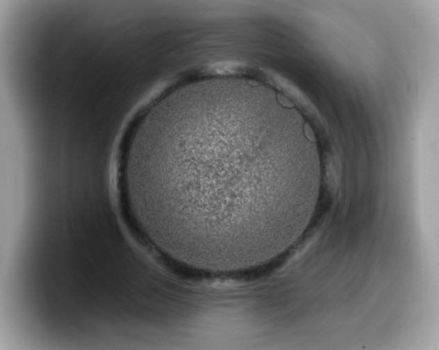 X0000099990730200805301412