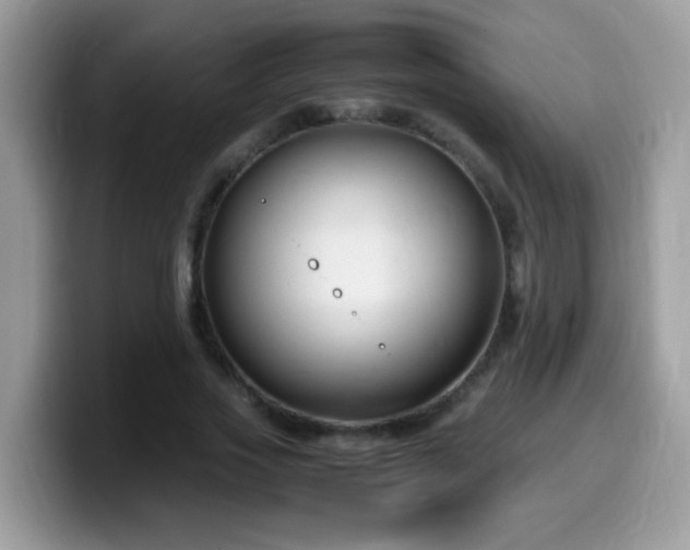 X0000099990733200805301412