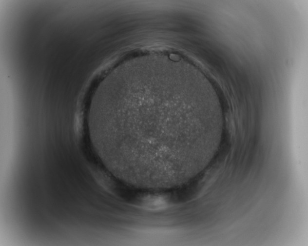X0000099990735200805301412