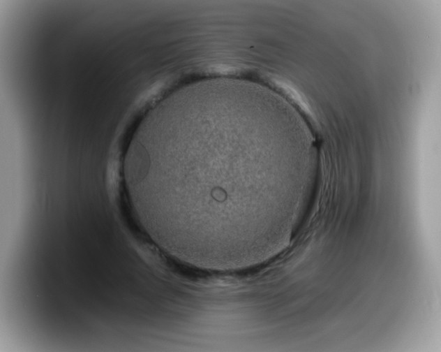 X0000099990736200805301412