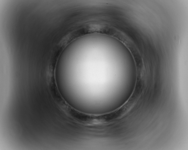 X0000099990737200805301413