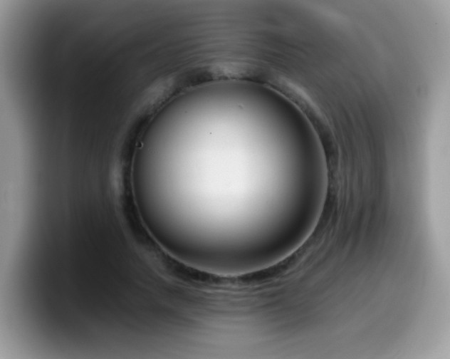 X0000099990738200805301413