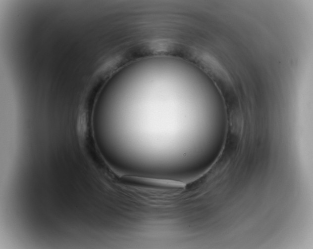 X0000099990740200805301413