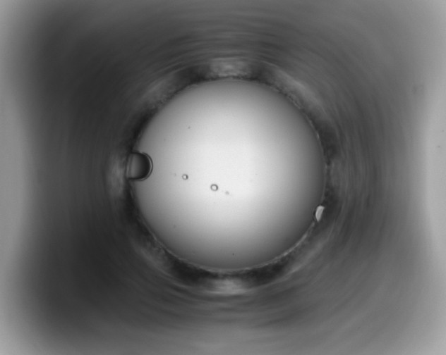 X0000099990741200805301413