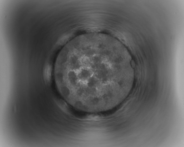 X0000099990742200805301413