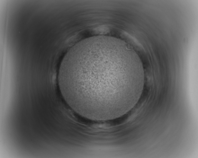 X0000099990745200805301413