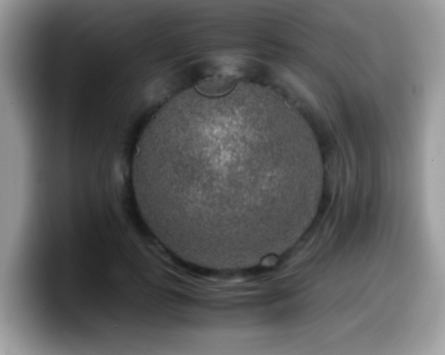 X0000099990747200805301413