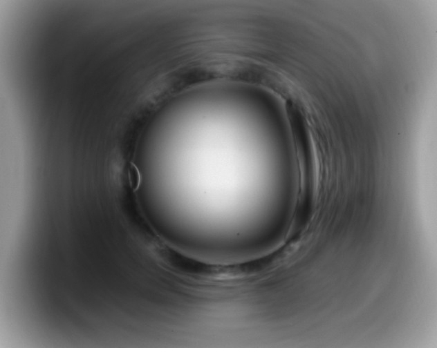 X0000099990750200805301413