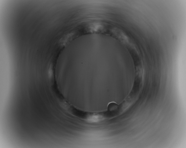 X0000099990754200805301413