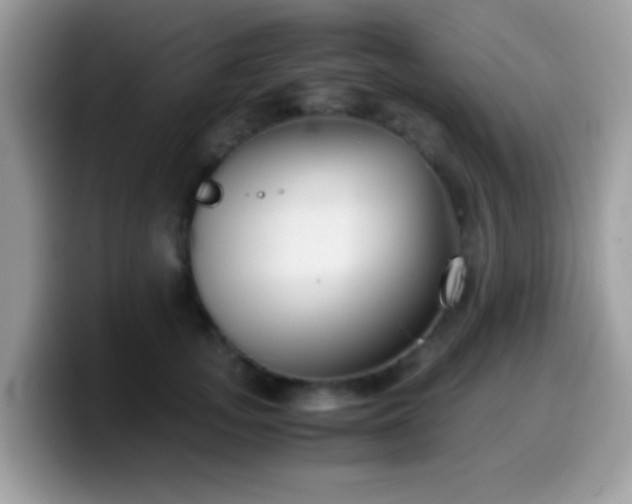 X0000099990755200805301413
