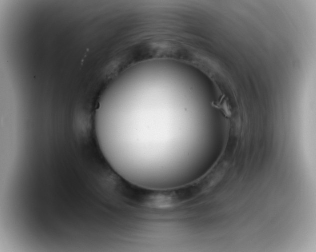 X0000099990756200805301413
