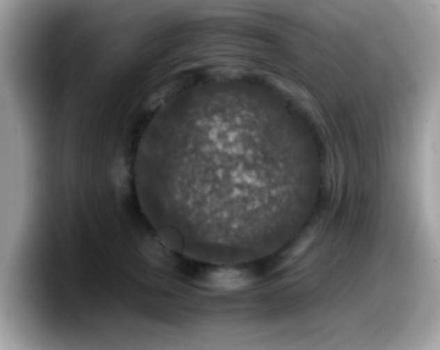 X0000099990759200805301413