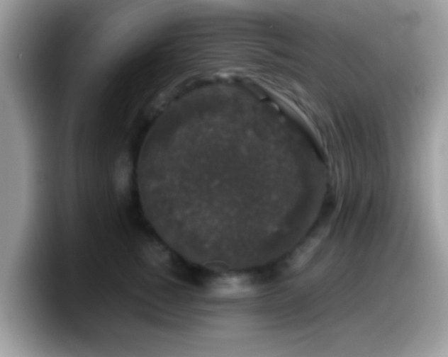 X0000099990760200805301413