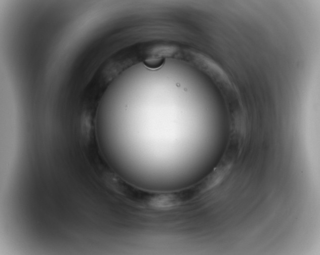 X0000099990761200805301413