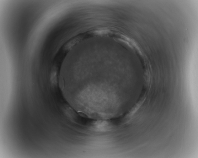 X0000099990762200805301413