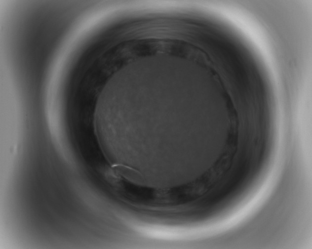X0000099990766200805301413
