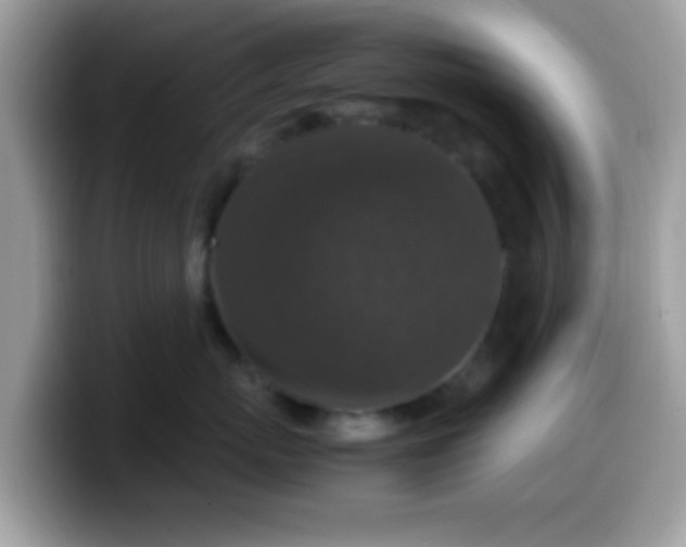 X0000099990767200805301413