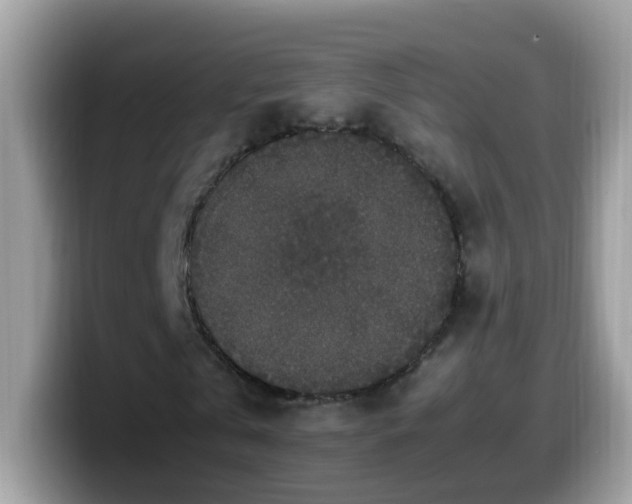 X0000099990769200805301412