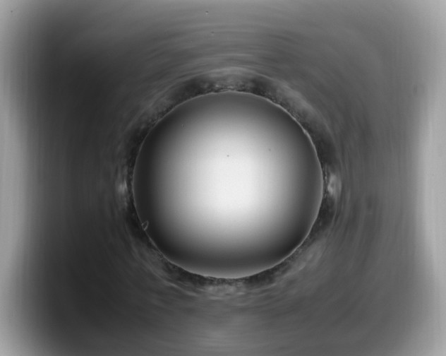 X0000099990771200805301412