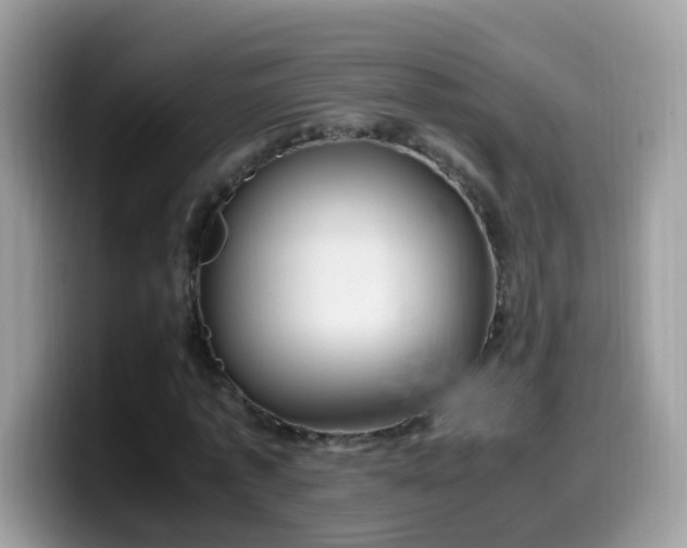 X0000099990773200805301412