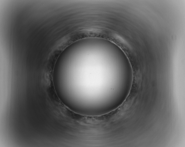 X0000099990774200805301412