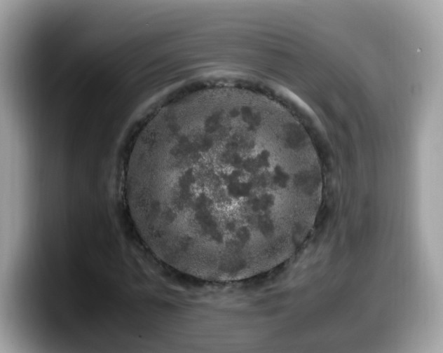 X0000099990775200805301412