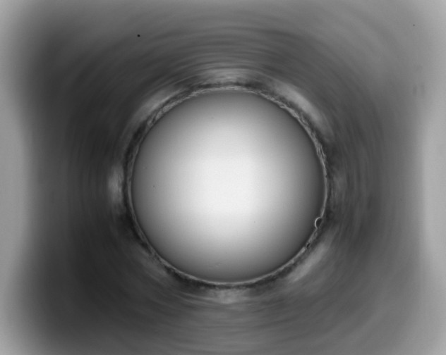 X0000099990778200805301412
