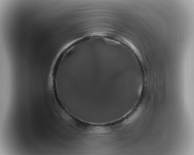 X0000099990779200805301412