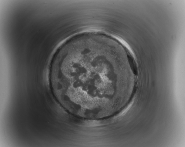 X0000099990783200805301412