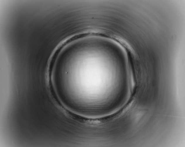 X0000099990784200805301412