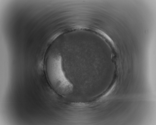 X0000099990785200805301412