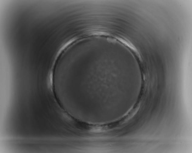 X0000099990790200805301412