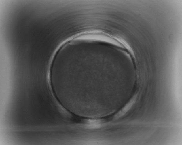 X0000099990797200805301412