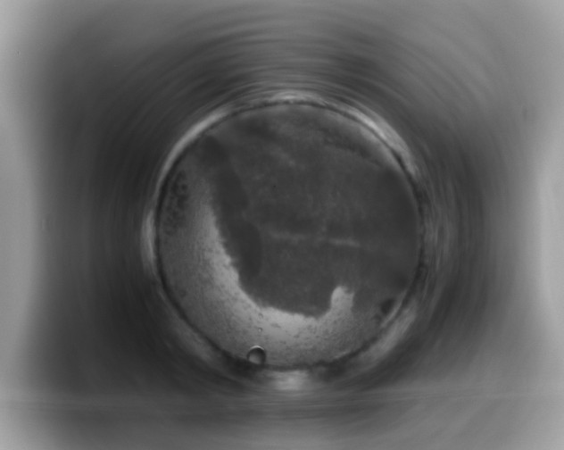 X0000099990798200805301412