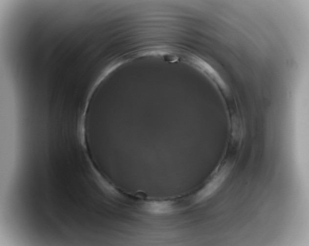 X0000099990802200805301412