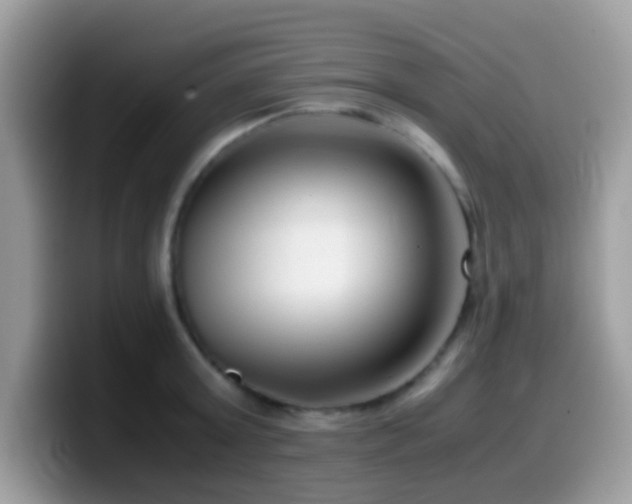 X0000099990803200805301412