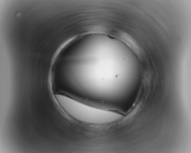 X0000099990804200805301412